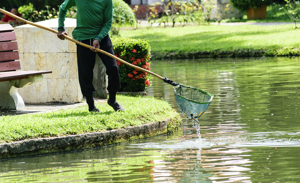 Retention pond cleanup Buford GA vegetation removal